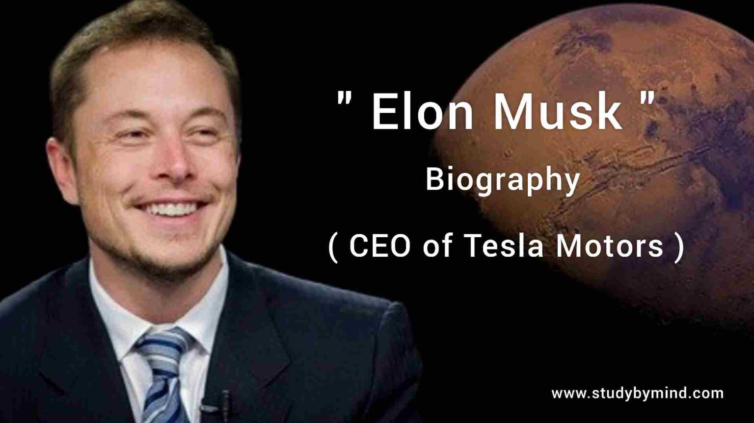 elon musk biography article