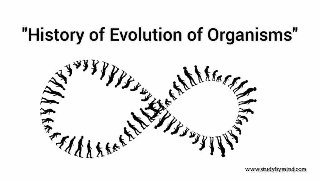 History of Evolution of Organisms, Civilization and 3 Eras