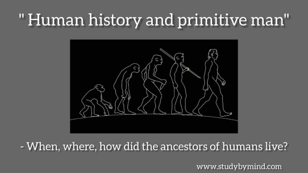 History of human, where and how did early humans live ?