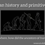 History of human, where and how did early humans live ?