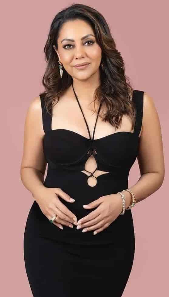 गौरी खान जीवन परिचय Gauri Khan biography in hindi (फिल्म निर्माता ...